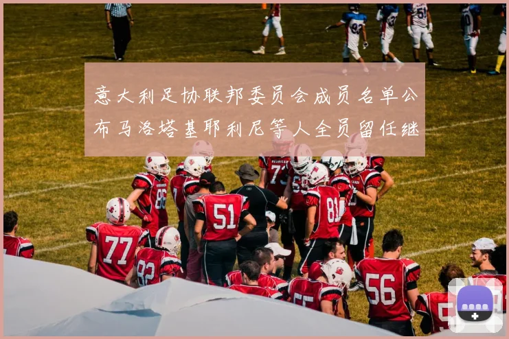 意大利足协联邦委员会成员名单公布马洛塔基耶利尼等人全员留任继续服务